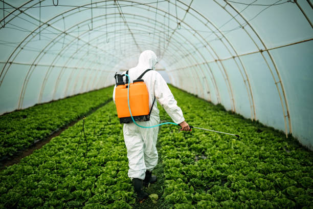 Pest Control for Restaurants in Hewitt, NJ