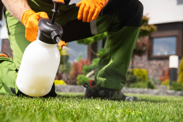 Wasp Removal Services in Hewitt, NJ