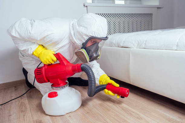 Best Wasp Removal Services  in Hewitt, NJ