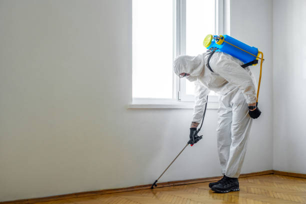 Best Best Pest Control Companies  in Hewitt, NJ