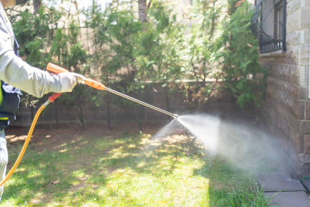 Best Local Pest Control Services  in Hewitt, NJ