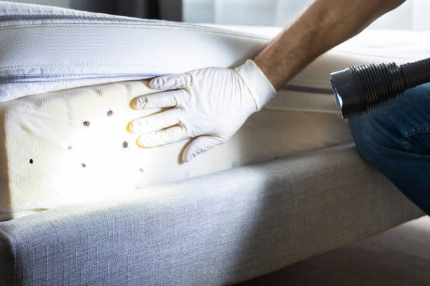 Best Rat Extermination Near Me  in Hewitt, NJ
