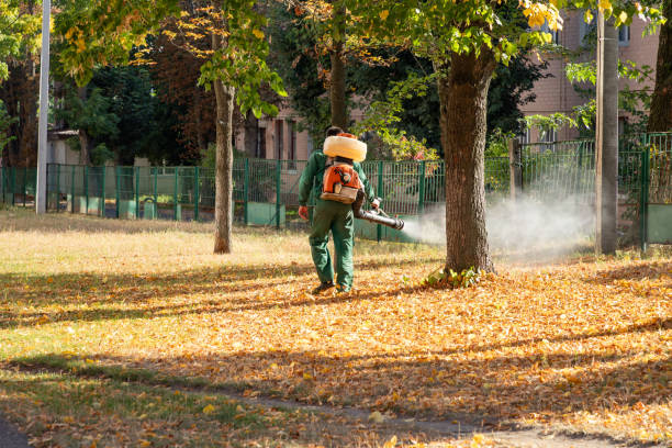 Best Commercial Pest Control Services  in Hewitt, NJ