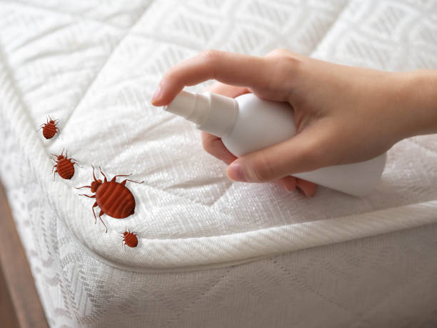 Best Pest Control for Homes  in Hewitt, NJ
